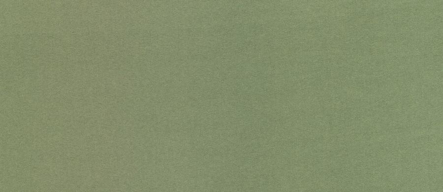 Sage fabric