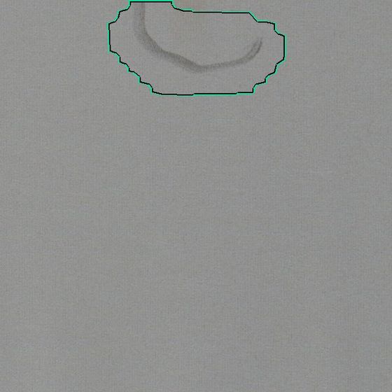 Loose thread, 43 by 23 mm