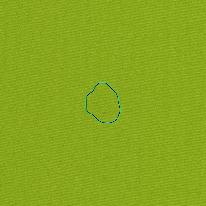 The same colour spot at sensor resolution, outlined by the engine, 21 by 27 mm