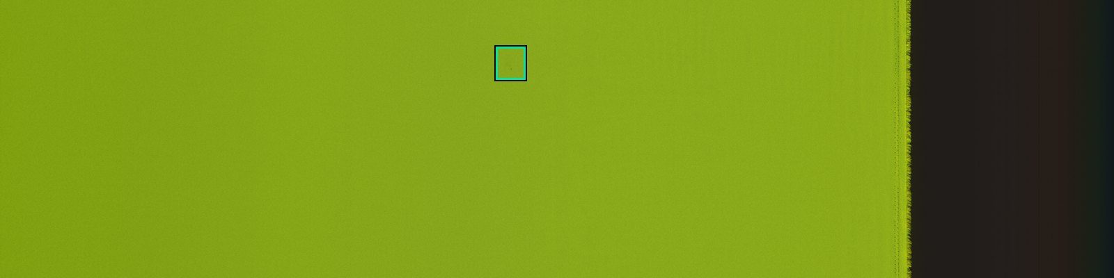 Full camera view of green fabric across the fabric width, with a small marked box left of centre